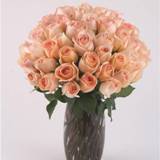 True Admiration 36 Peach Roses with Vase